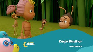 Küçük Kâşifler - Haklı Karınca