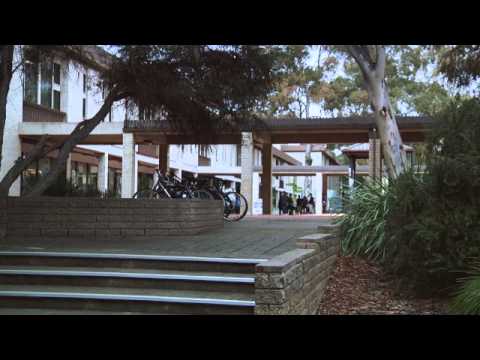 Static Shot - IMP2015