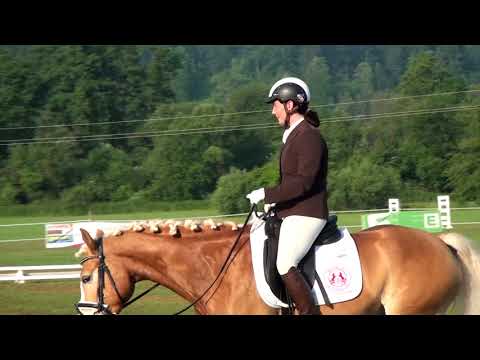 Sonja Petscharnig - Angelo Golden Dancer - A - Feldbach 2018