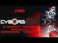 IT DOESN'T MATTER ANYMORE LOBO ORIGINAL VOCAL including lyric sync