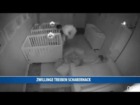 Zwillinge treiben Schabernack