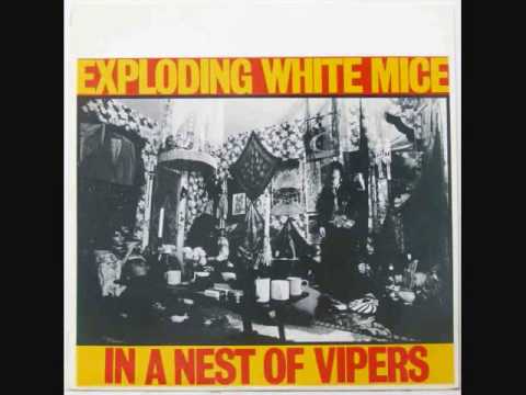 Exploding White Mice - In A Nest Of Vipers - Side 1