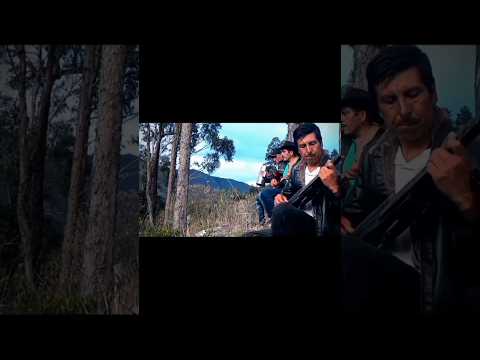 felicidad parrandera video completo en mi canal