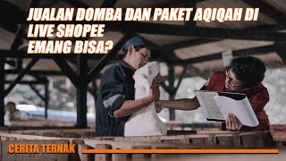 Kambing / Domba Ternak Betina Garut Ukuran 18 kg - 50 kg