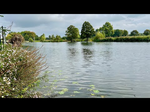 Wallingford Long Distance Sculls - 1/10/22