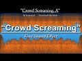 Crowd Screaming A Free Sound Effect