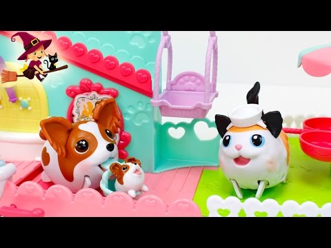 Parque Canino de Cachorros Patosos