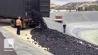 LA throws 96 million 'shade balls' at its water shortage — and it's mesmerizing | Mashable