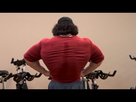 Spring Bulk Day 158 - Back