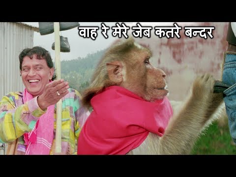 वाह रे मेरे जेब कतरे बन्दर - बिल्ला नं 786 - मिथुन चक्रवर्ती, मोहन जोशी कादर खान