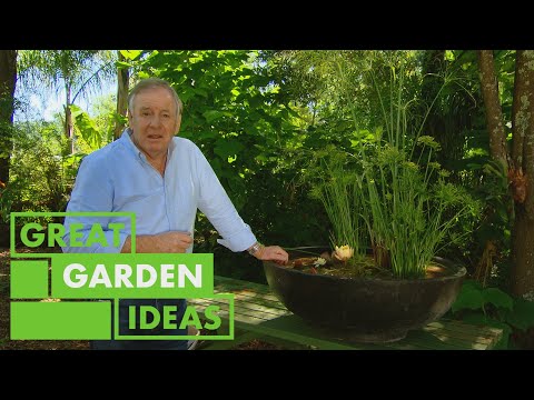 How to Grow Water Lilies at Home  | GARDEN | Great Home Ideas