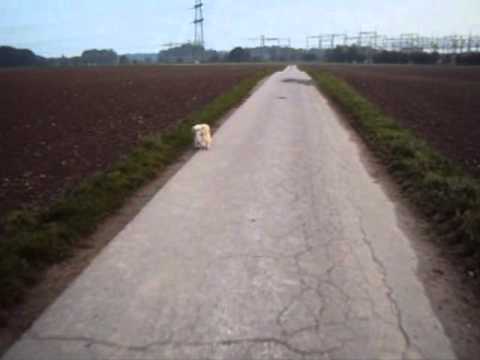 Sky aus Langenfeld-Reusrath