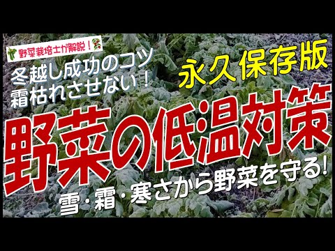 庭を寒さや霜から守る肥料は何ですか?この冬おすすめの5本をご紹介します!  庭園