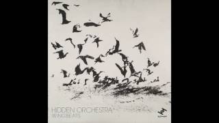 Hidden Orchestra - Wingbeats