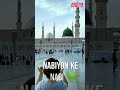 Main Tho Ummati Hoon Naat Full Screen WhatsApp Status Videos
