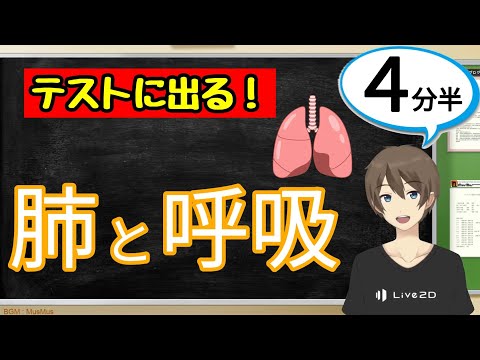 肺呼吸をする動物