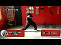 10 Animales CHOY LEE FUT Kung Fu