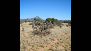 I'm Alive - Willie Nelson