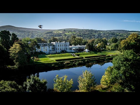 Welcome to Hotel Minella