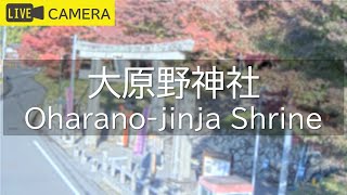 大原野神社