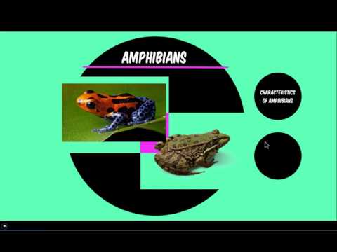 Remind Tutorial Teacher Messaging Tool