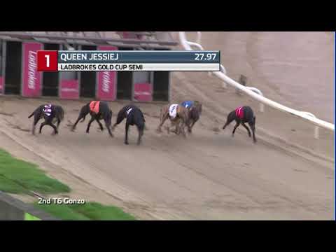 2020 LADBROKES GOLD CUP - 1ST SEMI - T1 QUEEN JESSIEJ