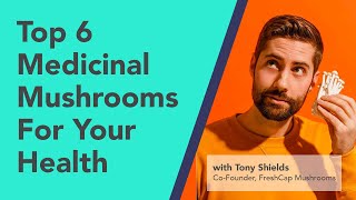Top 6 Medicinal Mushrooms For Your Health