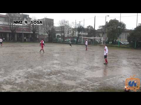 Sintesi Nuova Molinazzo - Osa