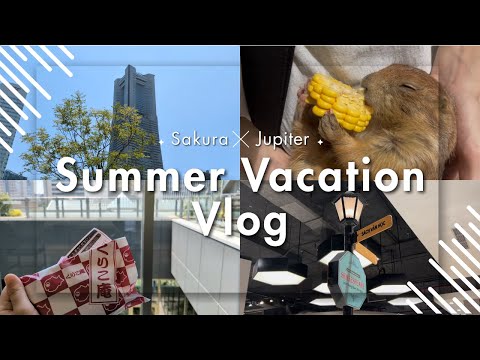 総合政策学科 【女子大生の夏休み】Tsuda Uni Summer Vlog
