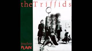 The Triffids - Plaything