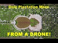 Dole Pineapple Plantation MAZE Aerial Drone 4K