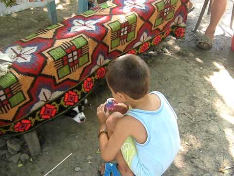 Piticu si Mana - Ciocile, 14 august 2010