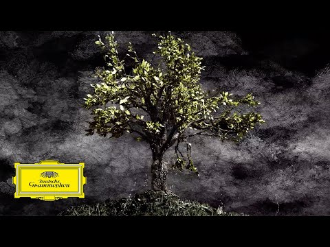 Gidon Kremer, Kremerata Baltica - Movement II