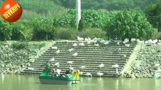 preview picture of video 'A TOUR TO SUKHNA LAKE CHANDIGARH- सुखना झील चण्डीगढ़'