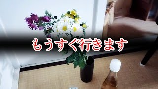 【座敷童子ンち】彼女はもうすぐ旅立ちます【まるで世にも奇妙な物語】ユーチューバー、幽霊、パワースポット、オカルト、ホラー、怪談、物語、スピリチュアル、座敷わらし、パワースポット