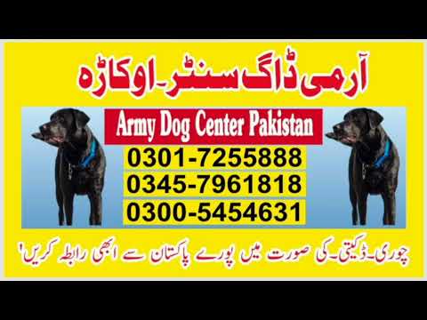 Army Dog Center Sadiqabad + Rahim yar Khan 