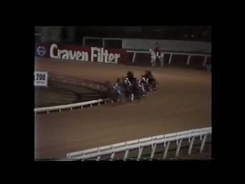 1980 Queensland Derby harness race