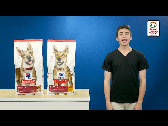 Vídeo relacionado con HILLS PET NUTRITION Alimentos de Mascotas - 2000 G