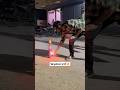 Rs 750 Skyshot Skyshot Diwali Fireworks Crackers Travel Shorts Viralvideo Trending