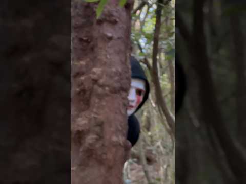 O ZAP APARECEU NO PARQUE! #zap #sofiaeoclubedomisterio