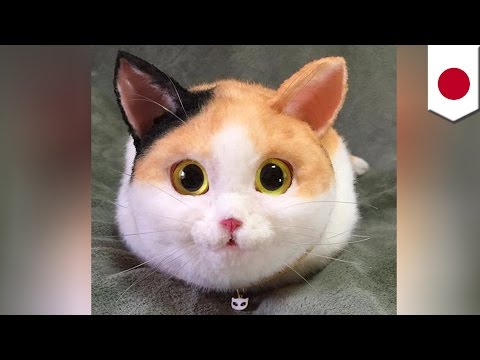 Nowa moda w Japonii: realistyczne torebki-koty