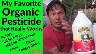 My New Favorite Natural &amp; Organic Pesticide That Really Works