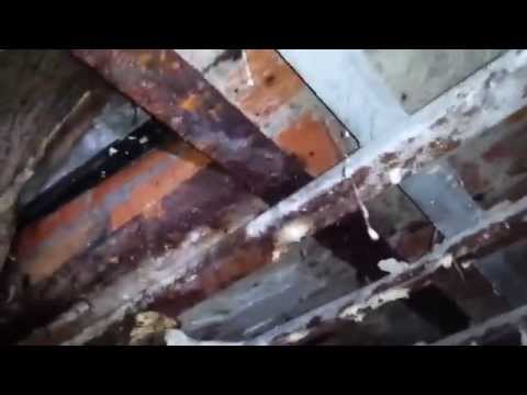 Opuszczony Klub Maxim Gdynia Orłowo - Urban Exploration