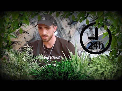 Anthony Alcaraz (Les Anges): La W*E*E*D ? " C'est notre rythme de vie ! "