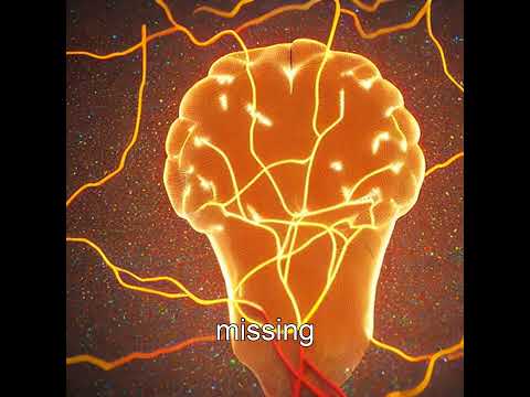 Unraveling the Mystery of Phantom Limbs