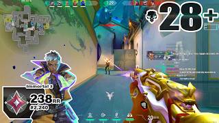 VL Foxy9 Waylay Summit RADIANT ACE