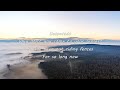 The Carpenters - Desperado (Lyrics)