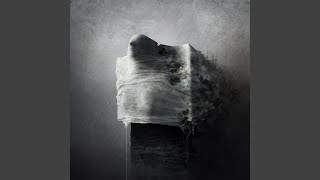 Of Noumenon Reality