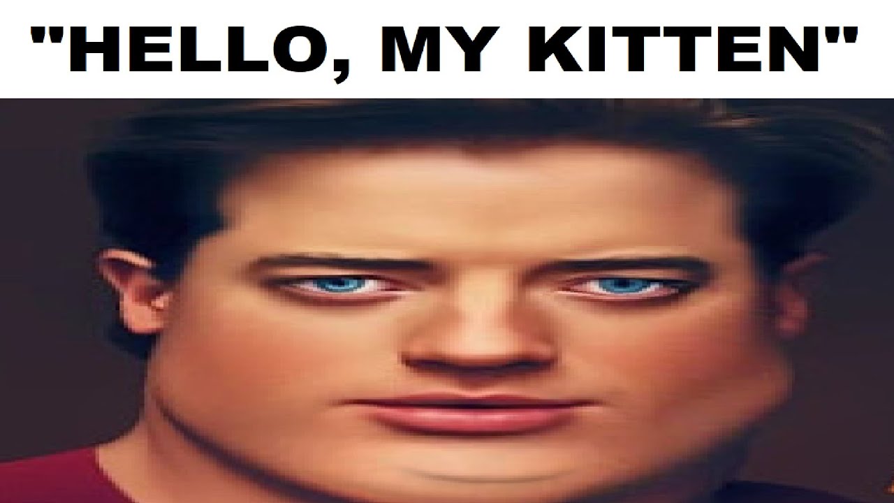 discord mod meets kitten