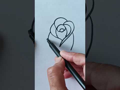 how to draw beautiful and easy rose drawing